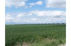 Property photo 29 - 3,352 Acres in 22 Land Tracts and 8 Mineral Tracts