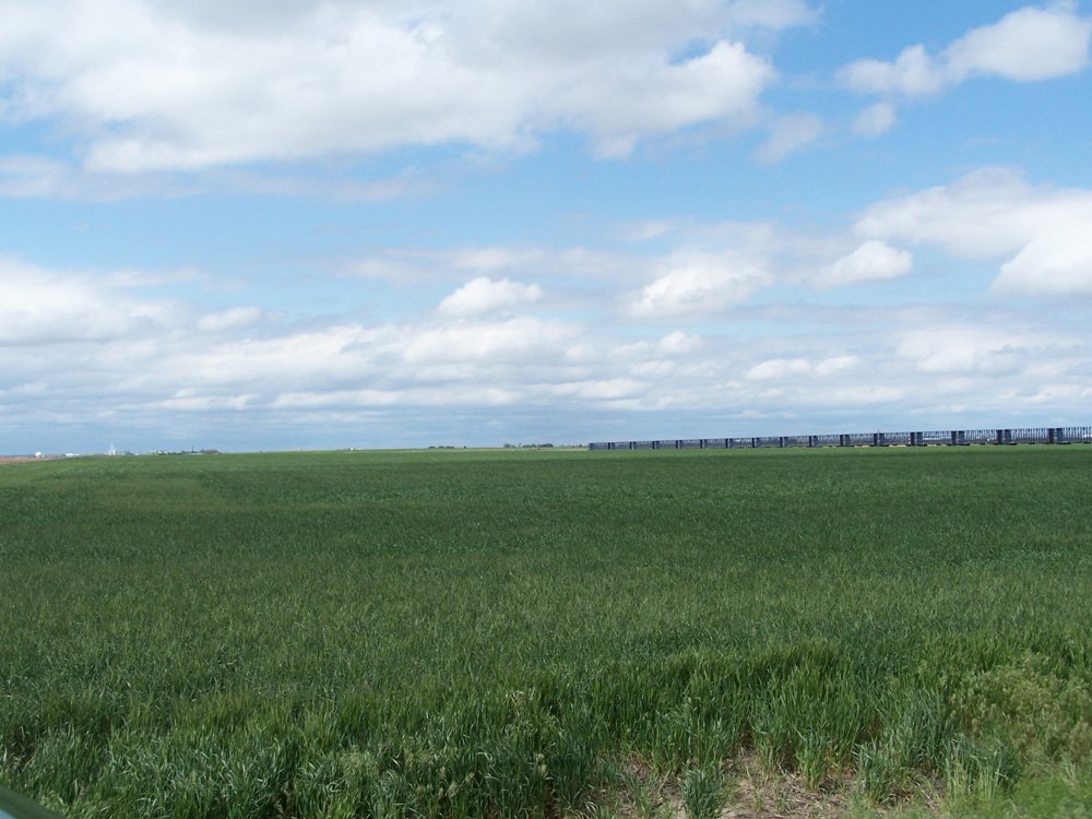 Property photo 27 - 3,352 Acres in 22 Land Tracts and 8 Mineral Tracts