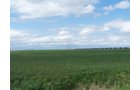 Property photo 27 - 3,352 Acres in 22 Land Tracts and 8 Mineral Tracts