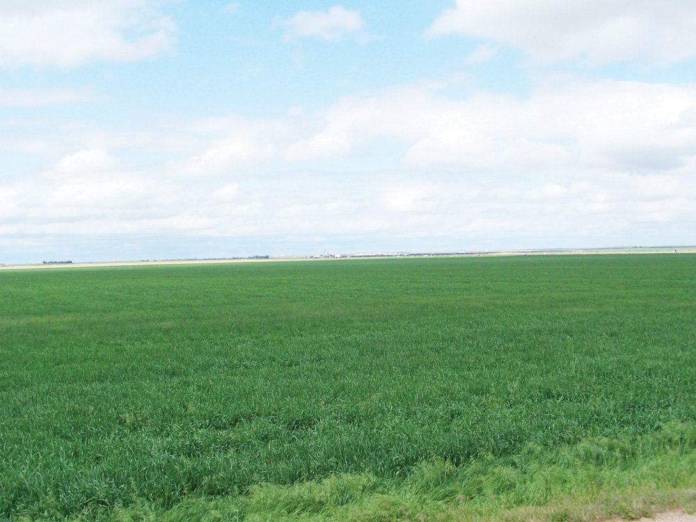 Property photo 30 - 3,352 Acres in 22 Land Tracts and 8 Mineral Tracts