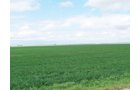 Property photo 30 - 3,352 Acres in 22 Land Tracts and 8 Mineral Tracts