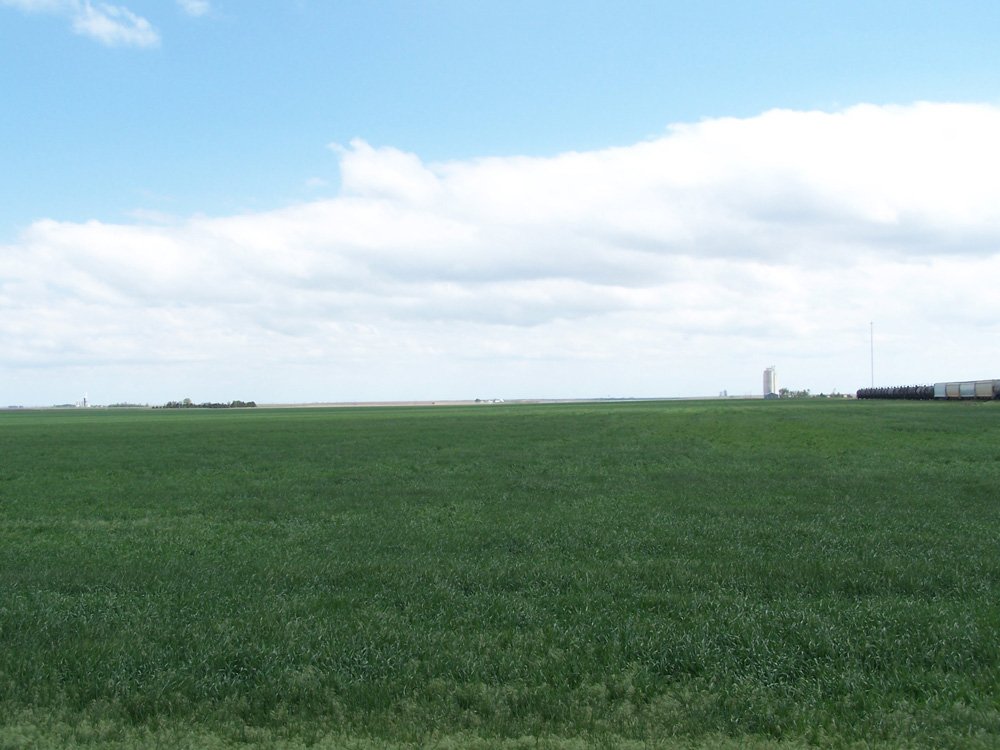 Property photo 24 - 3,352 Acres in 22 Land Tracts and 8 Mineral Tracts