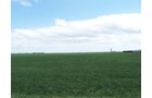 Property photo 24 - 3,352 Acres in 22 Land Tracts and 8 Mineral Tracts