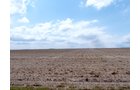 Property photo 17 - 3,352 Acres in 22 Land Tracts and 8 Mineral Tracts