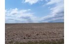 Property photo 1 - 3,352 Acres in 22 Land Tracts and 8 Mineral Tracts
