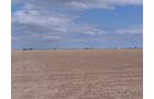 Property photo 5 - 3,352 Acres in 22 Land Tracts and 8 Mineral Tracts
