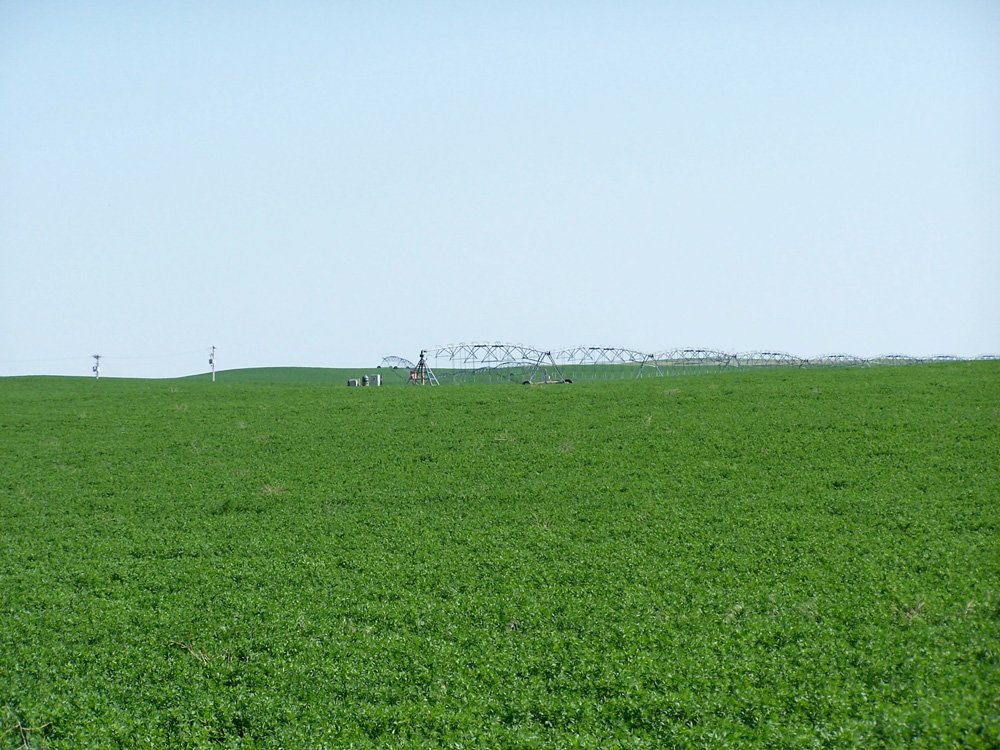 Property photo 19 - 3,352 Acres in 22 Land Tracts and 8 Mineral Tracts