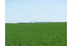 Property photo 19 - 3,352 Acres in 22 Land Tracts and 8 Mineral Tracts