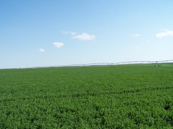 3,352 Acres in 22 Land Tracts and 8 Mineral Tracts