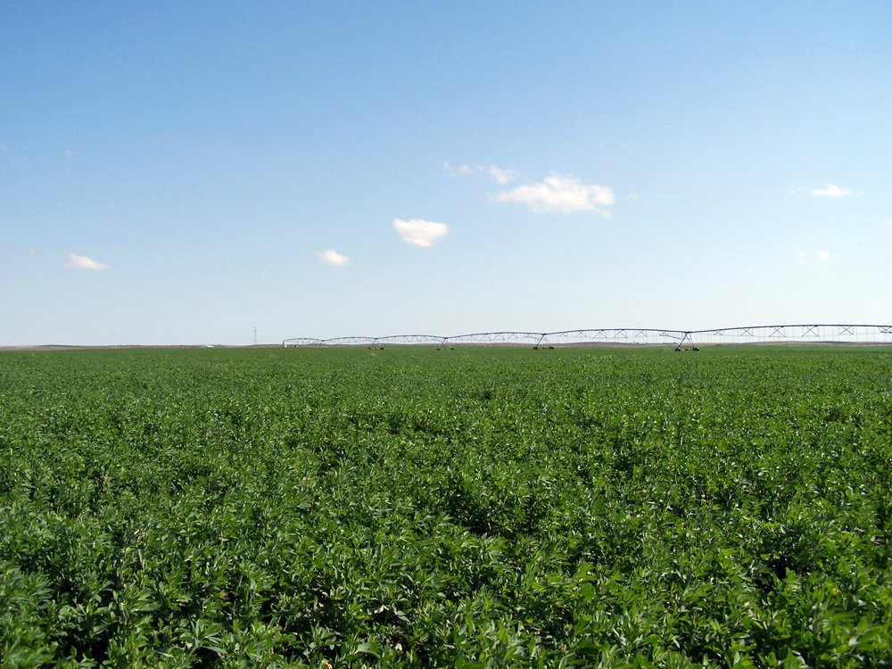 Property photo 14 - 3,352 Acres in 22 Land Tracts and 8 Mineral Tracts