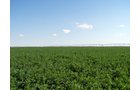 Property photo 14 - 3,352 Acres in 22 Land Tracts and 8 Mineral Tracts