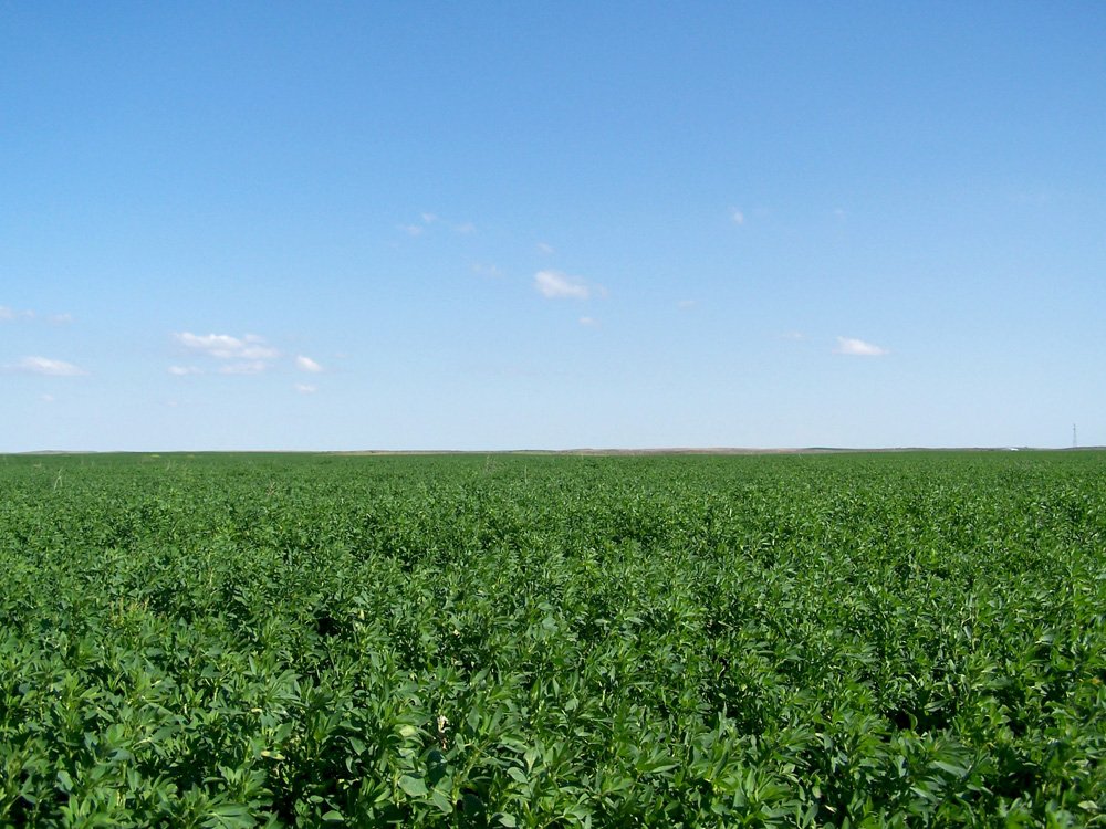 Property photo 22 - 3,352 Acres in 22 Land Tracts and 8 Mineral Tracts