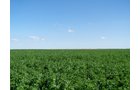 Property photo 22 - 3,352 Acres in 22 Land Tracts and 8 Mineral Tracts