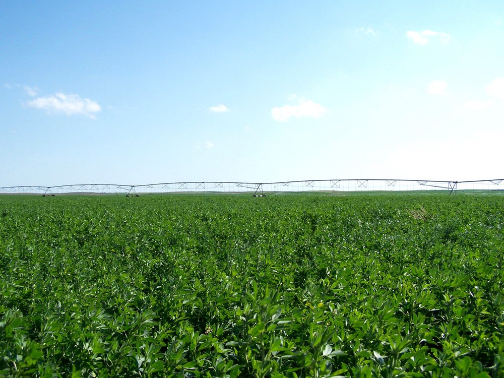 Property photo 21 - 3,352 Acres in 22 Land Tracts and 8 Mineral Tracts