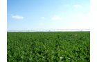 Property photo 21 - 3,352 Acres in 22 Land Tracts and 8 Mineral Tracts