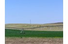Property photo 7 - 3,352 Acres in 22 Land Tracts and 8 Mineral Tracts