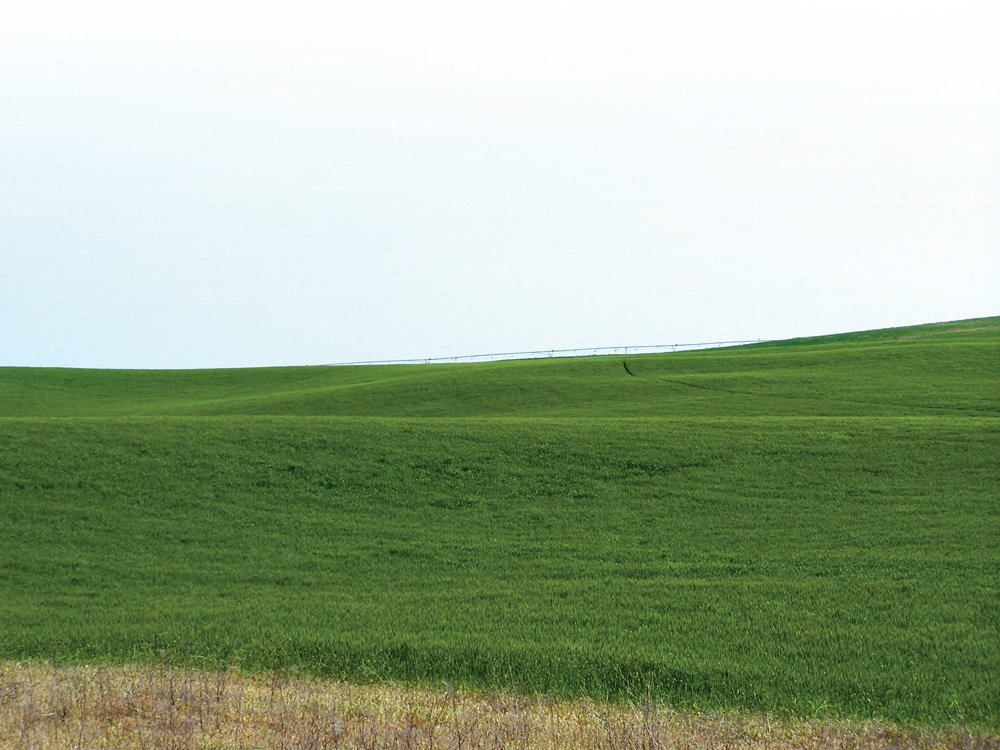 Property photo 4 - 3,352 Acres in 22 Land Tracts and 8 Mineral Tracts