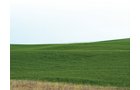 Property photo 4 - 3,352 Acres in 22 Land Tracts and 8 Mineral Tracts
