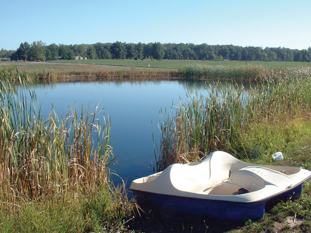 Property photo 1 - REAL ESTATE AUCTION - Country Home, Many Outbuildings, Stocked Pond and Tillable Land