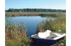 Property photo 1 - REAL ESTATE AUCTION - Country Home, Many Outbuildings, Stocked Pond and Tillable Land