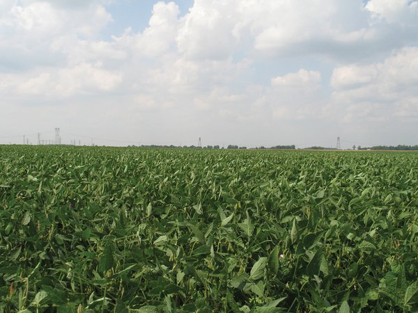 108 Acres offered in 2 Tracts