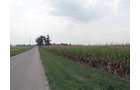 Property photo 1 - 108 Acres offered in 2 Tracts