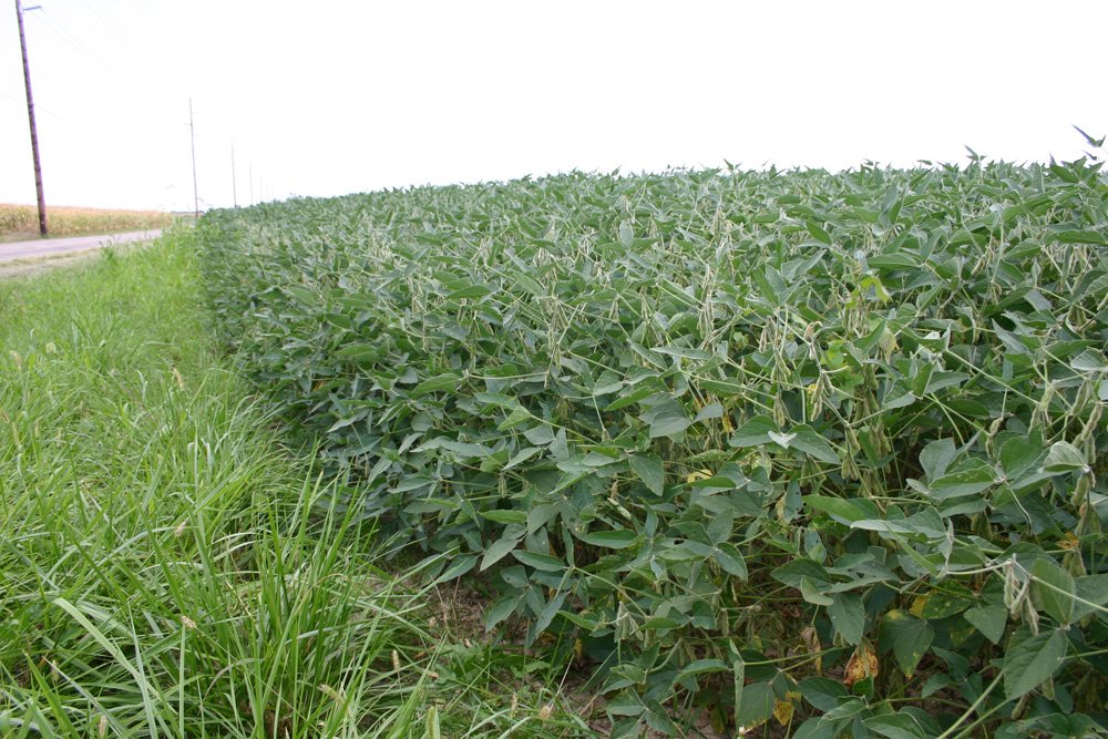 Property photo 5 - Important Indiana Land Auction, 975 Acres in 6 Tracts! Attention Farmers & Investors. 908 Acres of High Quality Tillable Farmland