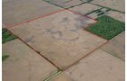 Property photo 14 - Important Indiana Land Auction, 975 Acres in 6 Tracts! Attention Farmers & Investors. 908 Acres of High Quality Tillable Farmland