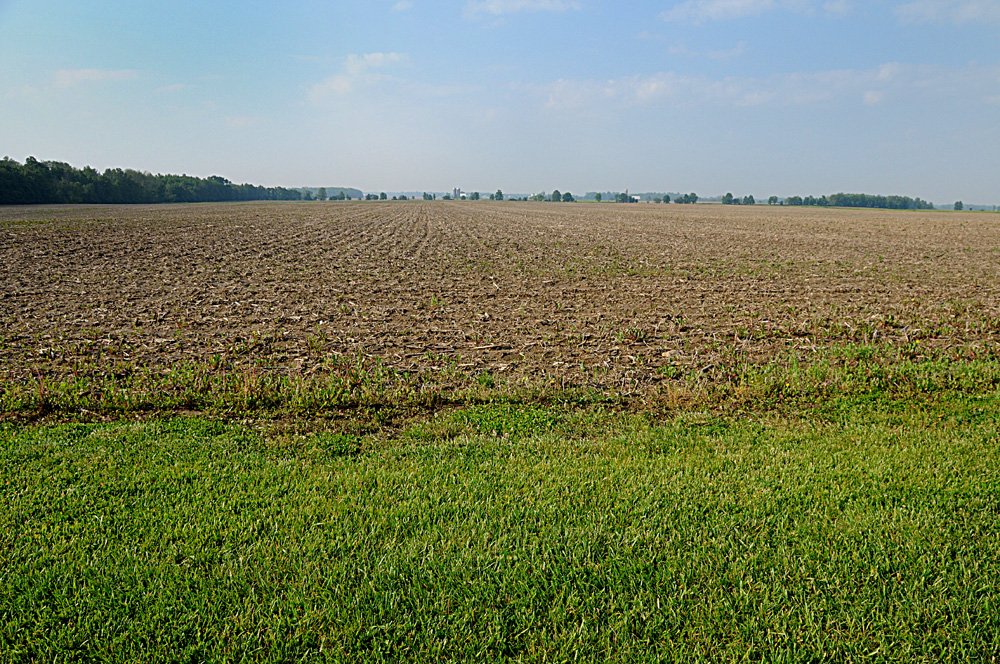 Property photo 4 - Important Indiana Land Auction, 975 Acres in 6 Tracts! Attention Farmers & Investors. 908 Acres of High Quality Tillable Farmland