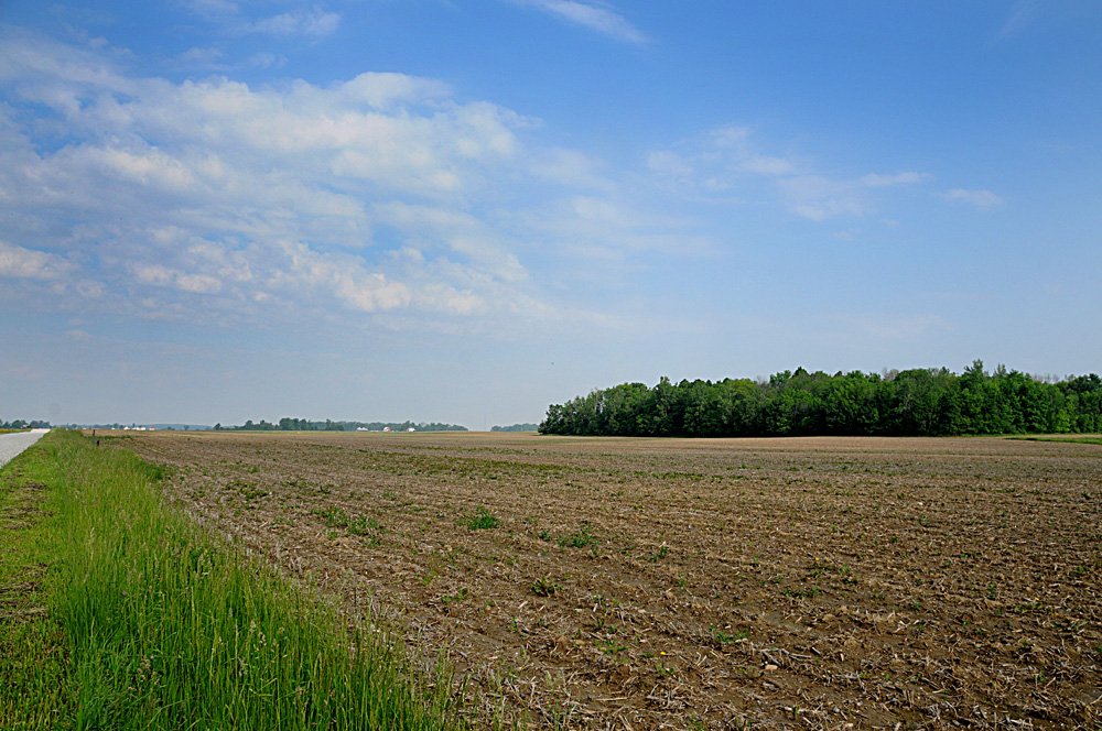 Property photo 17 - Important Indiana Land Auction, 975 Acres in 6 Tracts! Attention Farmers & Investors. 908 Acres of High Quality Tillable Farmland