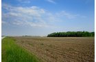 Property photo 17 - Important Indiana Land Auction, 975 Acres in 6 Tracts! Attention Farmers & Investors. 908 Acres of High Quality Tillable Farmland