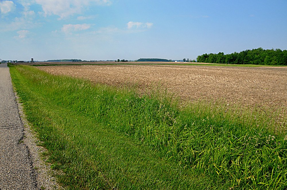Property photo 8 - Important Indiana Land Auction, 975 Acres in 6 Tracts! Attention Farmers & Investors. 908 Acres of High Quality Tillable Farmland