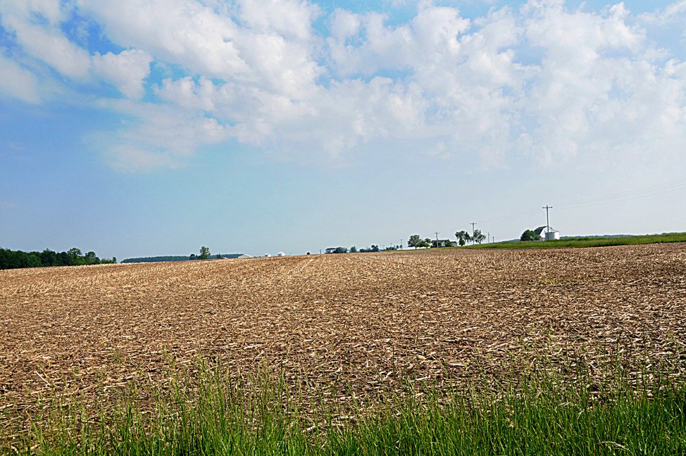 Property photo 12 - Important Indiana Land Auction, 975 Acres in 6 Tracts! Attention Farmers & Investors. 908 Acres of High Quality Tillable Farmland