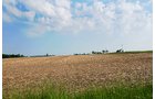Property photo 12 - Important Indiana Land Auction, 975 Acres in 6 Tracts! Attention Farmers & Investors. 908 Acres of High Quality Tillable Farmland