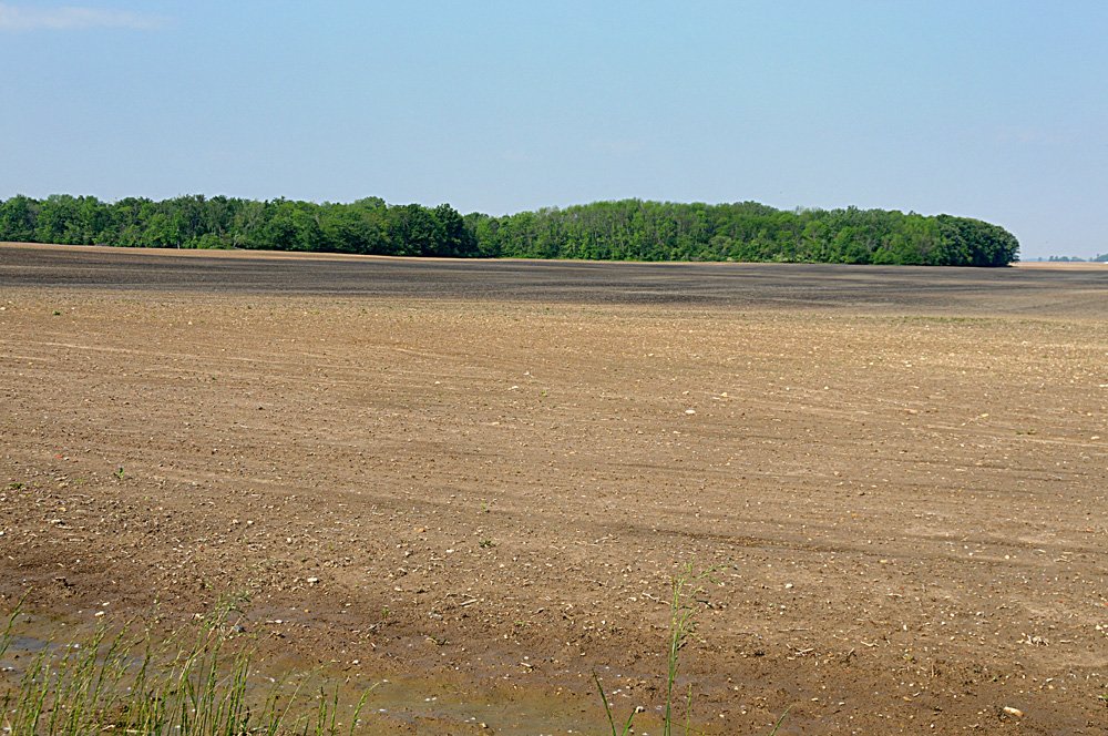 Property photo 3 - Important Indiana Land Auction, 975 Acres in 6 Tracts! Attention Farmers & Investors. 908 Acres of High Quality Tillable Farmland