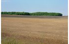 Property photo 3 - Important Indiana Land Auction, 975 Acres in 6 Tracts! Attention Farmers & Investors. 908 Acres of High Quality Tillable Farmland