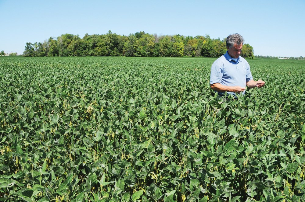 Property photo 11 - Important Indiana Land Auction, 975 Acres in 6 Tracts! Attention Farmers & Investors. 908 Acres of High Quality Tillable Farmland