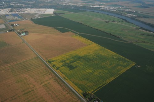 Property photo 71 - 408 Acres of Prime Ohio Farmland - Offered in 8 Tracts