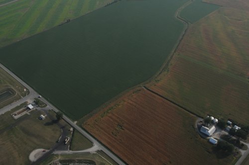 Property photo 12 - 408 Acres of Prime Ohio Farmland - Offered in 8 Tracts