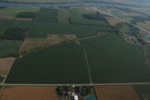 Property photo 72 - 408 Acres of Prime Ohio Farmland - Offered in 8 Tracts