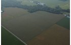 Property photo 75 - 408 Acres of Prime Ohio Farmland - Offered in 8 Tracts