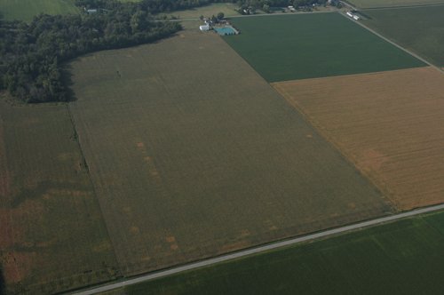 Property photo 36 - 408 Acres of Prime Ohio Farmland - Offered in 8 Tracts