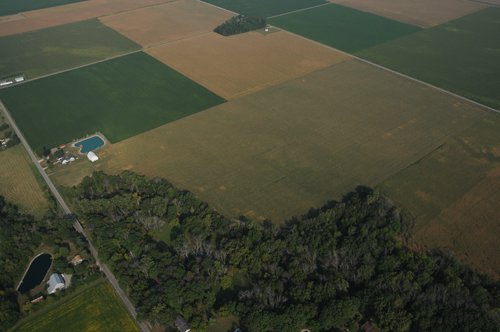 Property photo 26 - 408 Acres of Prime Ohio Farmland - Offered in 8 Tracts