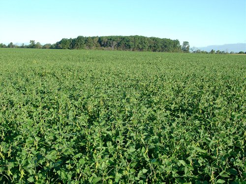 Property photo 45 - 408 Acres of Prime Ohio Farmland - Offered in 8 Tracts