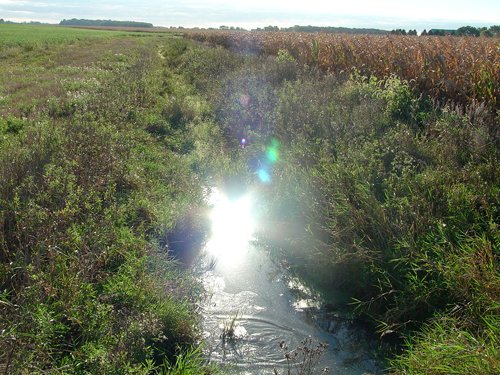 Property photo 18 - 408 Acres of Prime Ohio Farmland - Offered in 8 Tracts