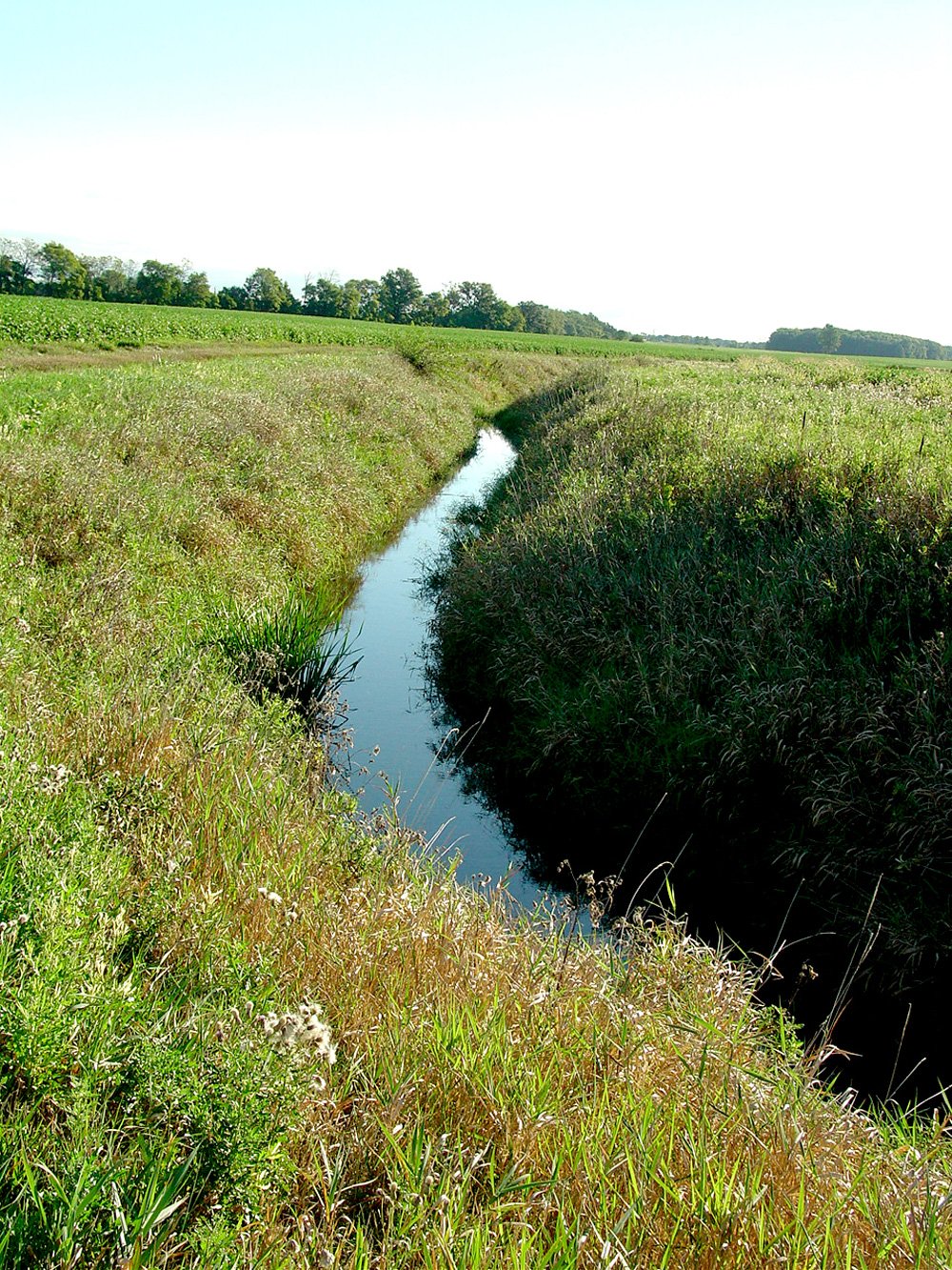 Property photo 66 - 408 Acres of Prime Ohio Farmland - Offered in 8 Tracts