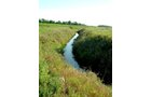 Property photo 66 - 408 Acres of Prime Ohio Farmland - Offered in 8 Tracts