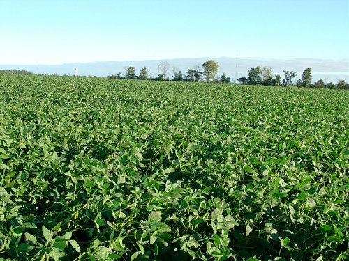 Property photo 69 - 408 Acres of Prime Ohio Farmland - Offered in 8 Tracts