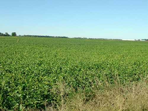 Property photo 91 - 408 Acres of Prime Ohio Farmland - Offered in 8 Tracts