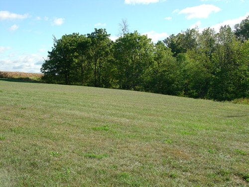 Property photo 13 - 408 Acres of Prime Ohio Farmland - Offered in 8 Tracts